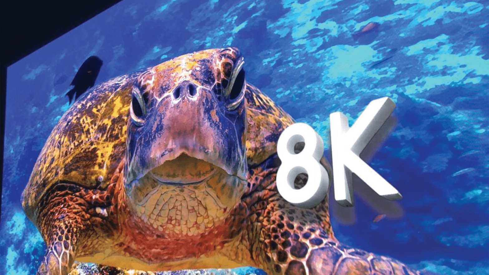 Untitled design